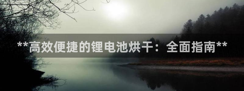 尊龙凯时电竞