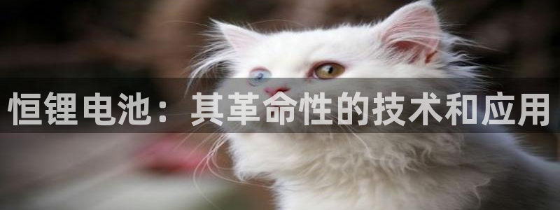 尊龙网址是多少