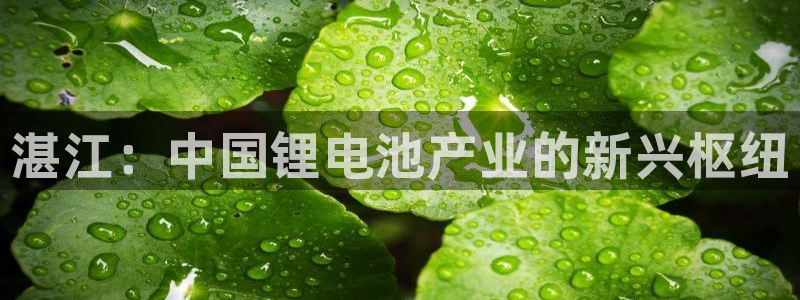 尊龙凯时用户名m