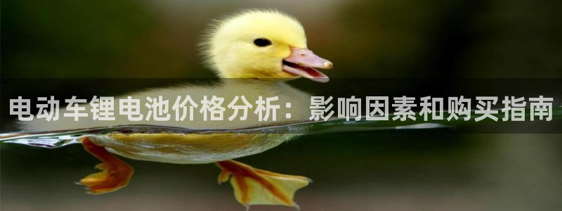 尊龙官方