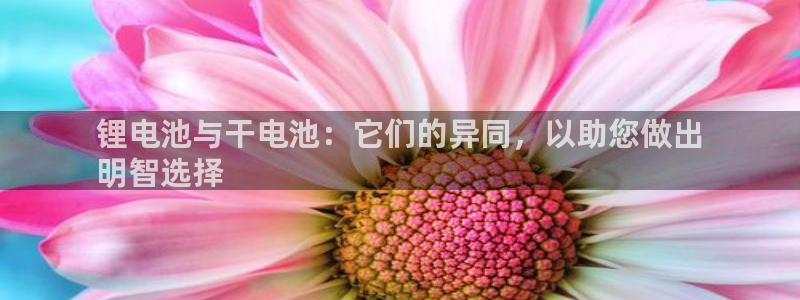 尊龙官网首页