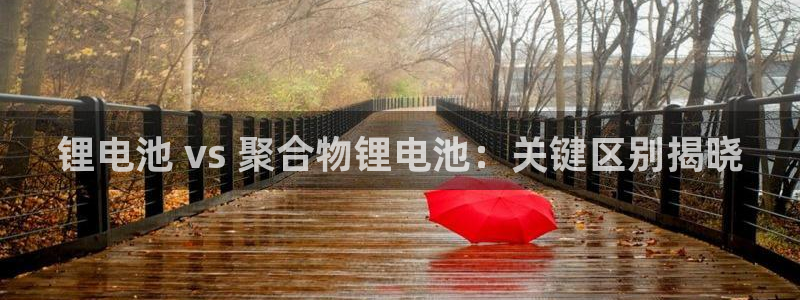 尊龙凯时输钱的原因