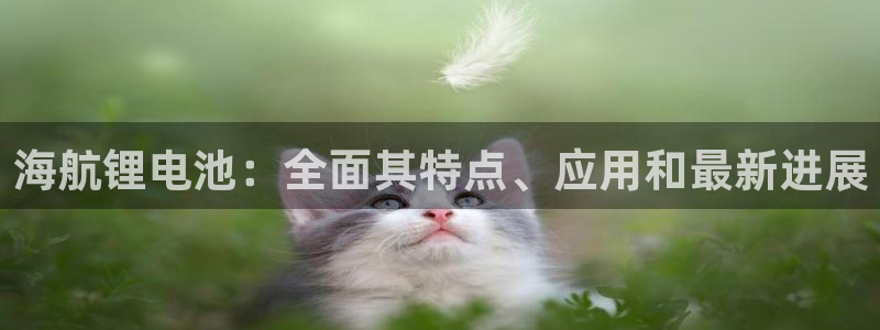 尊龙-人生就是博!
