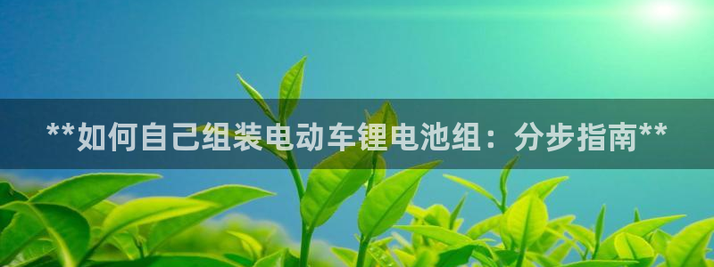 尊龙凯时推荐人