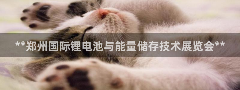 尊龙ag旗舰厅官网官方入口