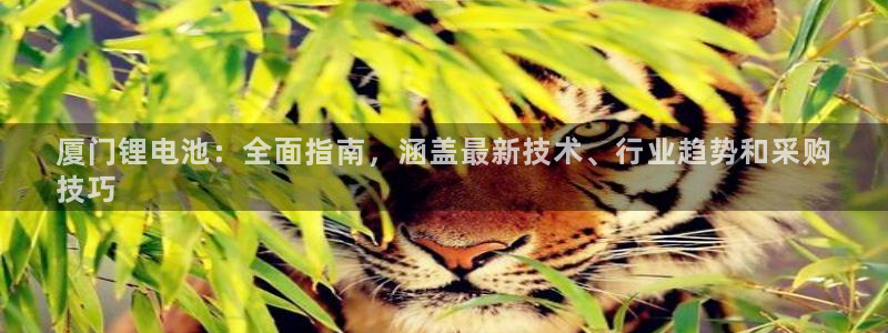 尊龙ag旗舰厅登陆