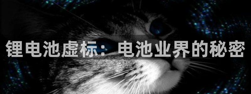尊龙凯时输钱的原因