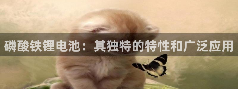 尊龙d88官网准认来就送38