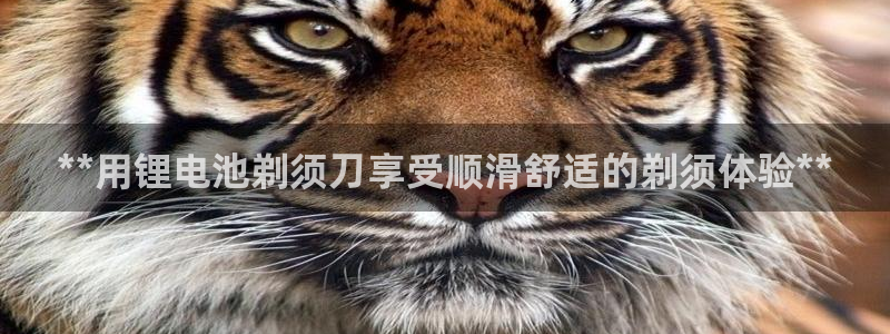 尊龙人生就是博登录