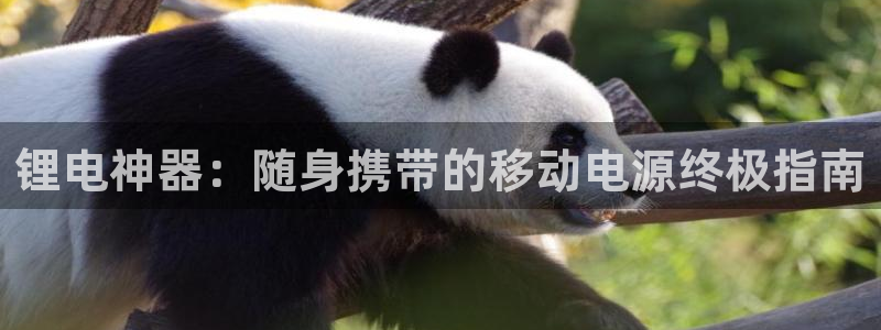 尊龙新版登录网址下载