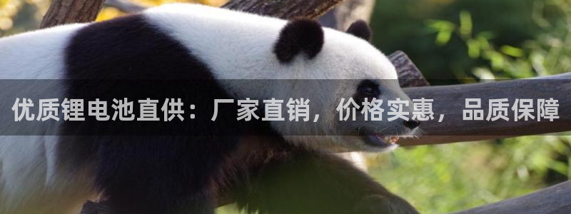 尊龙凯时法充十万返现多少