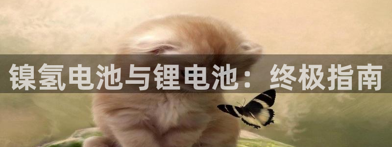 凯时kb88·中国官方网站