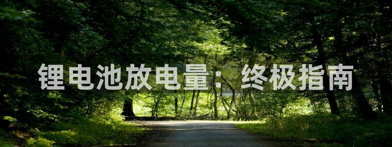 尊龙凯时开发