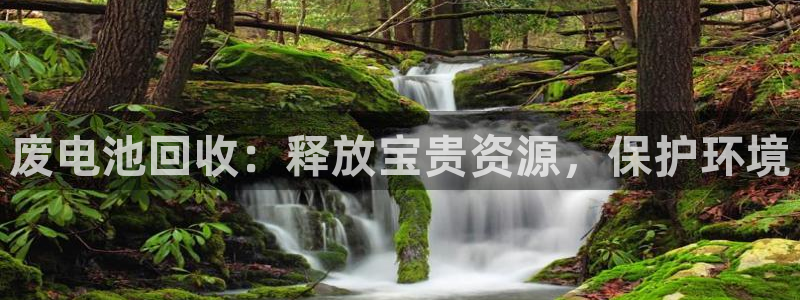 尊龙凯时网页版