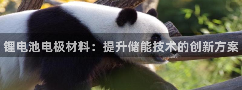 尊龙d88官网登录