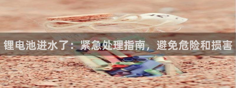 z6com尊龙凯时代理