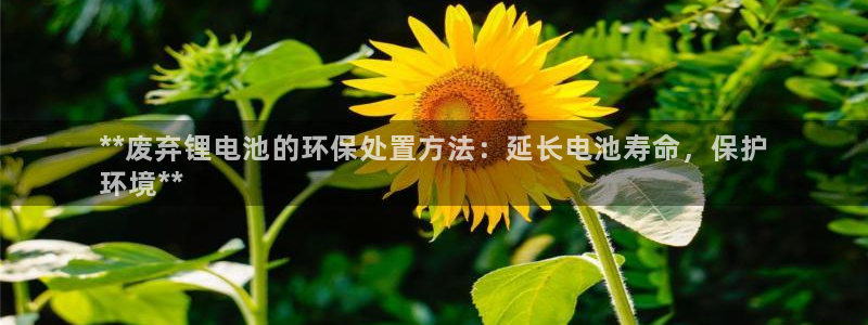 尊龙登录会员登录