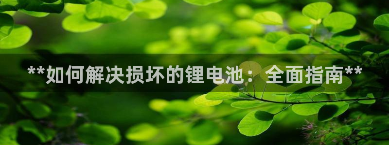 尊龙凯时是直营吗