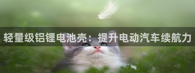 凯时是AG优质运营商