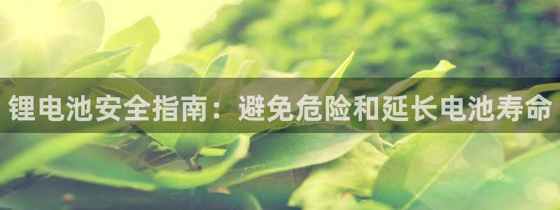 尊龙凯时返现：锂电池安全指南：避免危险和延长电池寿命