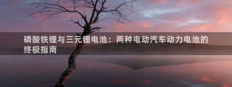 尊龙游戏中心