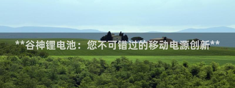 尊龙凯时一人生就是博官网