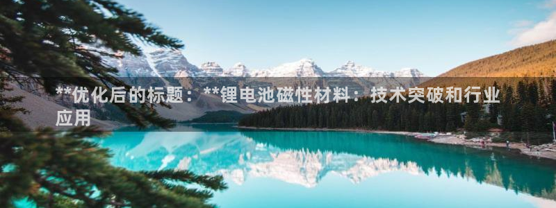 尊龙凯时是大平台吗：**优化后的标题：**锂电池磁性材料：技术突破和行业
应用
