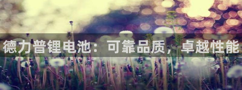 尊龙凯时网站是什么地方人开的