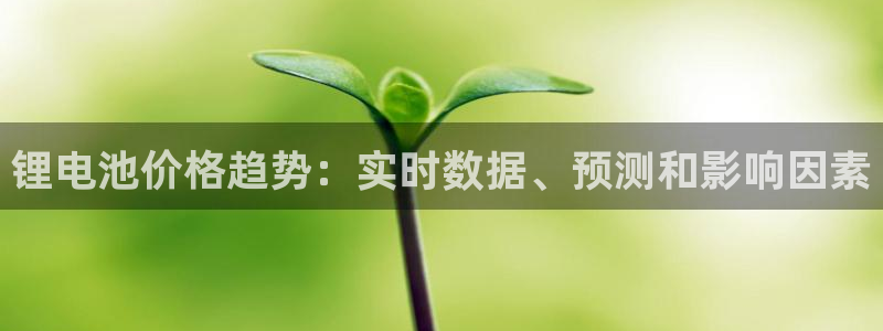 凯时平台app