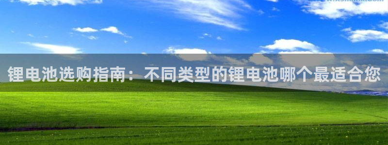 尊龙凯时开发：锂电池选购指南：不同类型的锂电池哪个最适合您