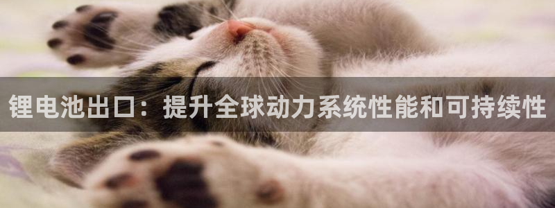 尊龙凯时人生就是搏包装优势
