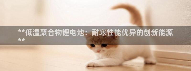 尊龙凯时登陆：**低温聚合物锂电池：耐寒性能优异的创新能源
**