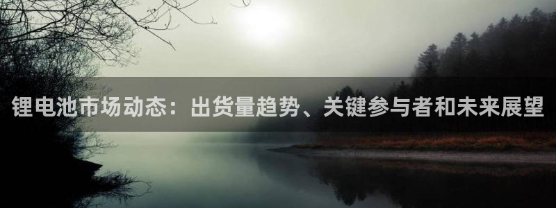 尊龙新版app首页：锂电池市场动态：出货量趋势、关键参与者和未来展望