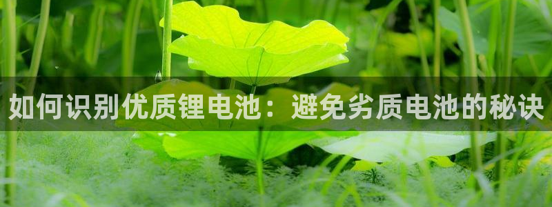 尊龙官网