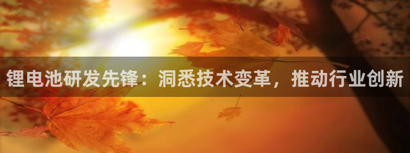 尊龙-人生就是博!：锂电池研发先锋：洞悉技术变革，推动行业创新