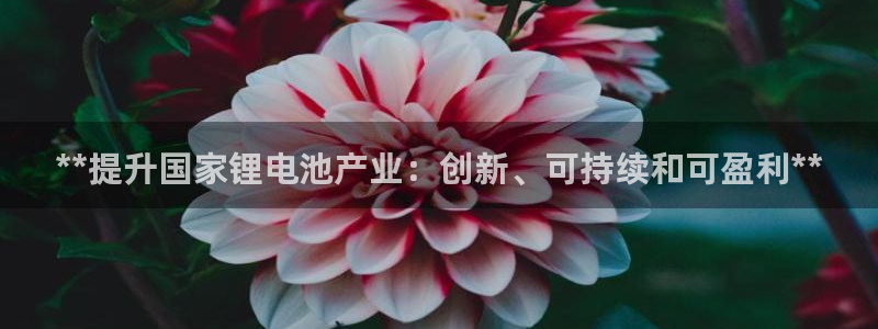 尊龙凯时官方网站：**提升国家锂电池产业：创新、可持续和可盈利**