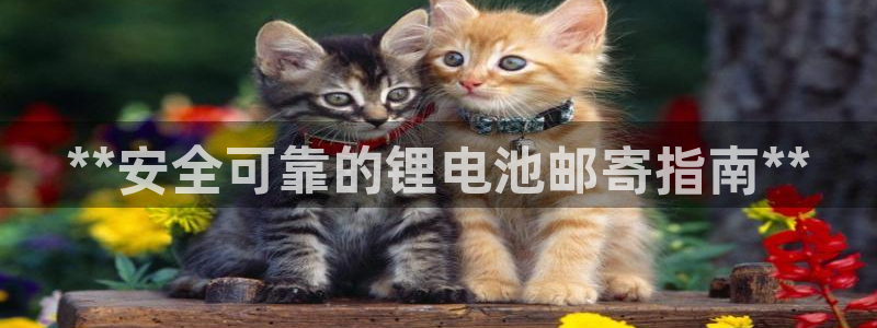 尊龙凯时网站网址：**安全可靠的锂电池邮寄指南**