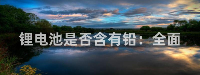尊龙人生就是博l：锂电池是否含有铅：全面