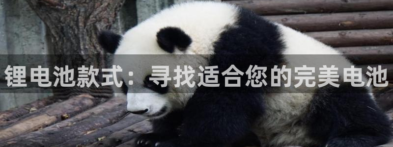 凯时app赢AG发财网来就送38：锂电池款式：寻找适合您的完美电池