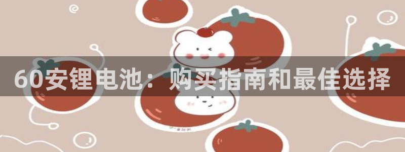 尊龙官方网站最新版V9.3.06：60安锂电池：购买指南和最佳选择