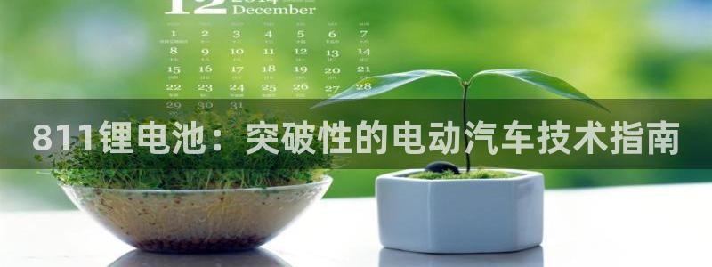尊龙官网注册：811锂电池：突破性的电动汽车技术指南