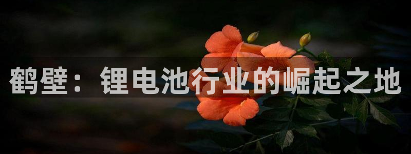 尊龙凯时为什么输了钱