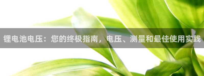 尊龙人生就是博旗舰厅：锂电池电压：您的终极指南，电压、测量和最佳使用实践