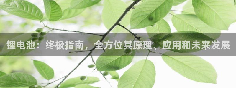 尊龙d88官网确来就送38