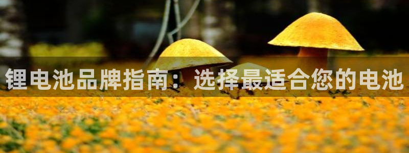 尊龙d88官网去来就送38：锂电池品牌指南：选择最适合您的电池
