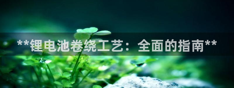尊龙400