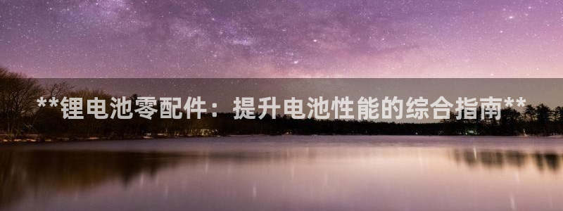 尊龙凯时 人生就是搏客服：**锂电池零配件：提升电池性能的综合指南**