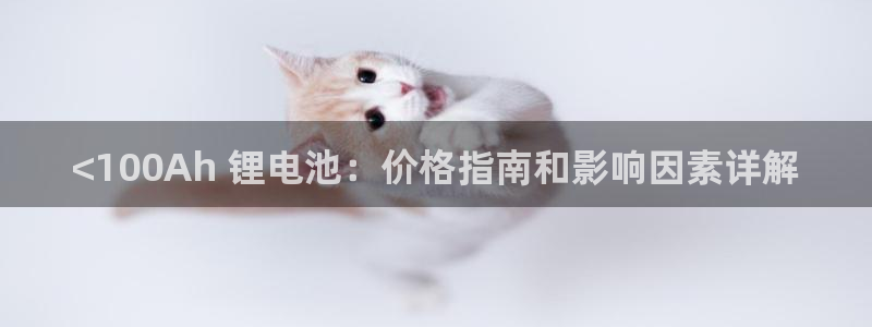 尊龙人生就是博登录首页：<100Ah 锂电池：价格指南和影响因素详解