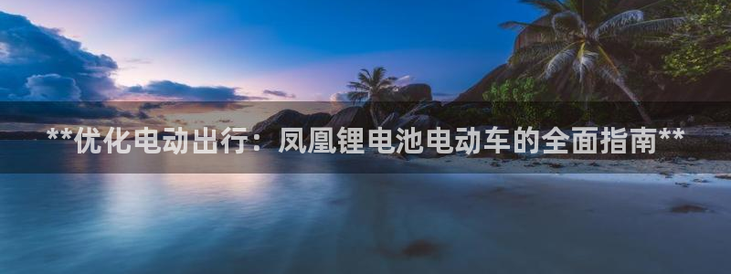 尊龙凯时ag旗舰厅官：**优化电动出行：凤凰锂电池电动车的全面指南**
