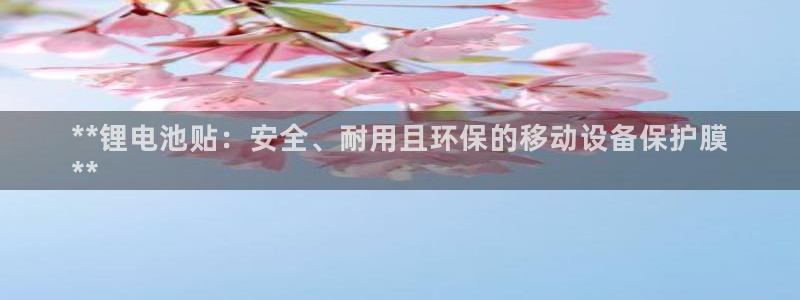 尊龙凯时平台正规吗：**锂电池贴：安全、耐用且环保的移动设备保护膜
**